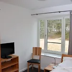 Treibholz Binz