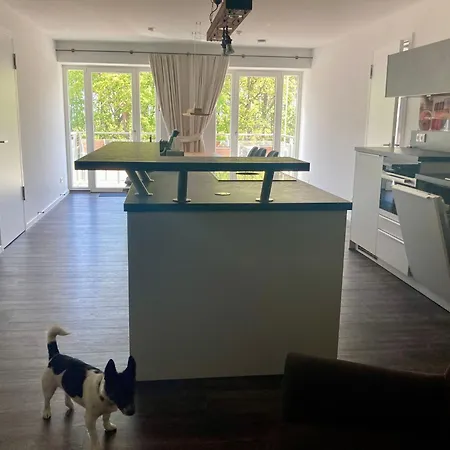 Apartman Treibholz *