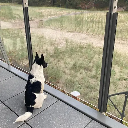 Lägenhet Treibholz *