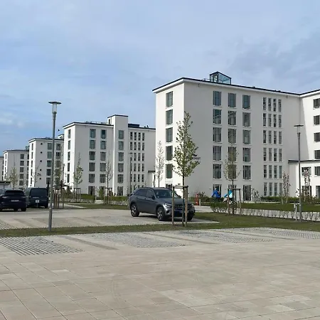 Treibholz Binz