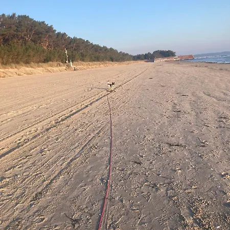 Treibholz Binz
